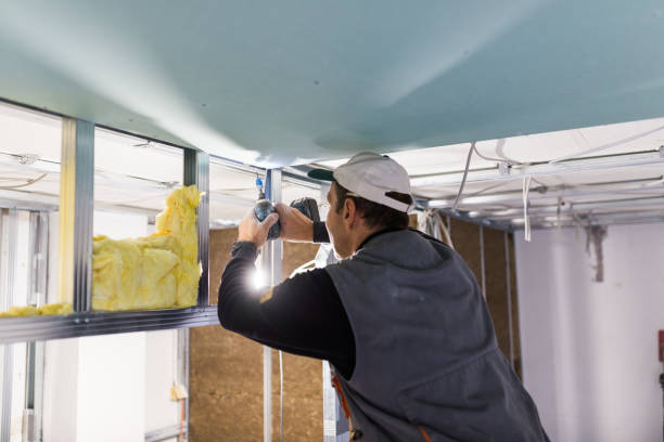 Best Garage Insulation Installation  in Solana, FL