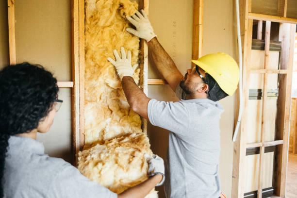 Best Local Insulation Services  in Solana, FL